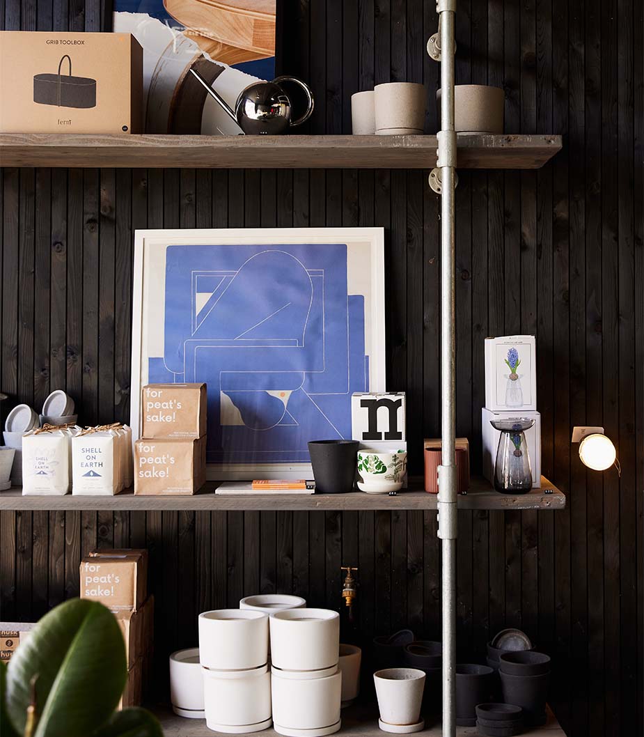 Minima